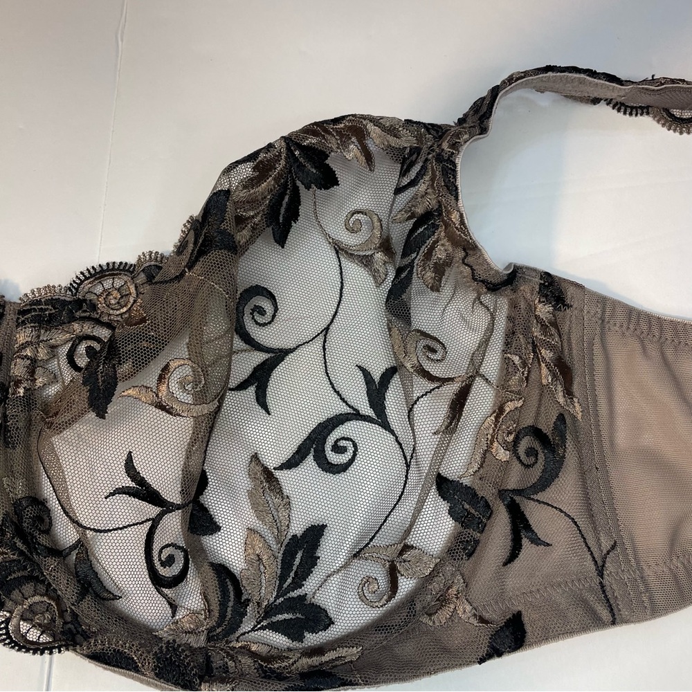 Sheer Embroidered Lace Bra in Taupe and Black